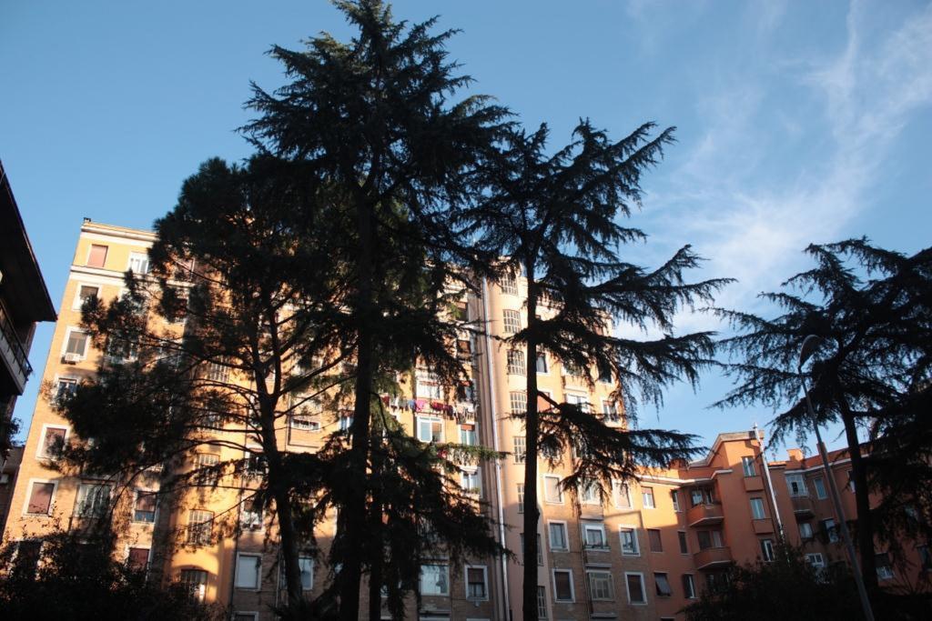 Sweet Dreams In St Peter B&B Roma Exterior foto